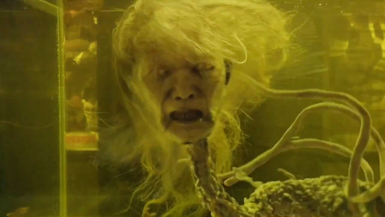 相传东南亚有一种飞头降,它们以尚未成型的婴儿胚胎为食"恐怖