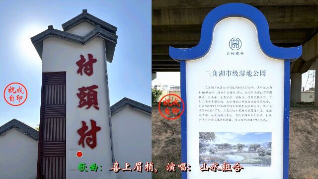 东莞市横沥镇村头村葵香园、三角湖湿地公园好风景