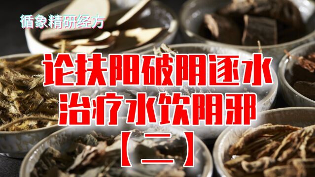 真武汤以方测证,论扶阳破阴逐水治疗水饮阴邪(2)