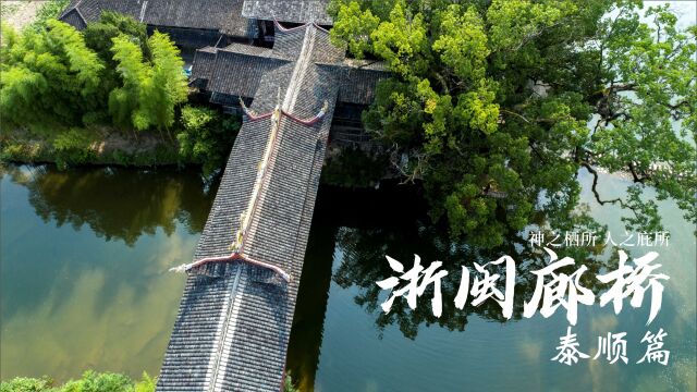 《浙闽廊桥》泰顺篇