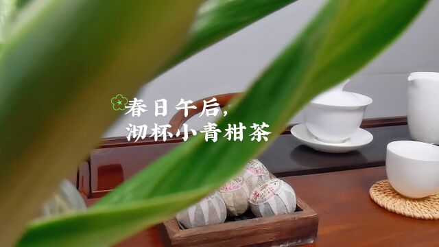 春日午后,沏杯小青柑茶