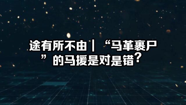 马革裹尸的主人公马援以死博名?