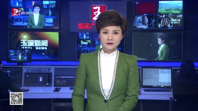 新平县仙福装备制造产业园建设项目开工