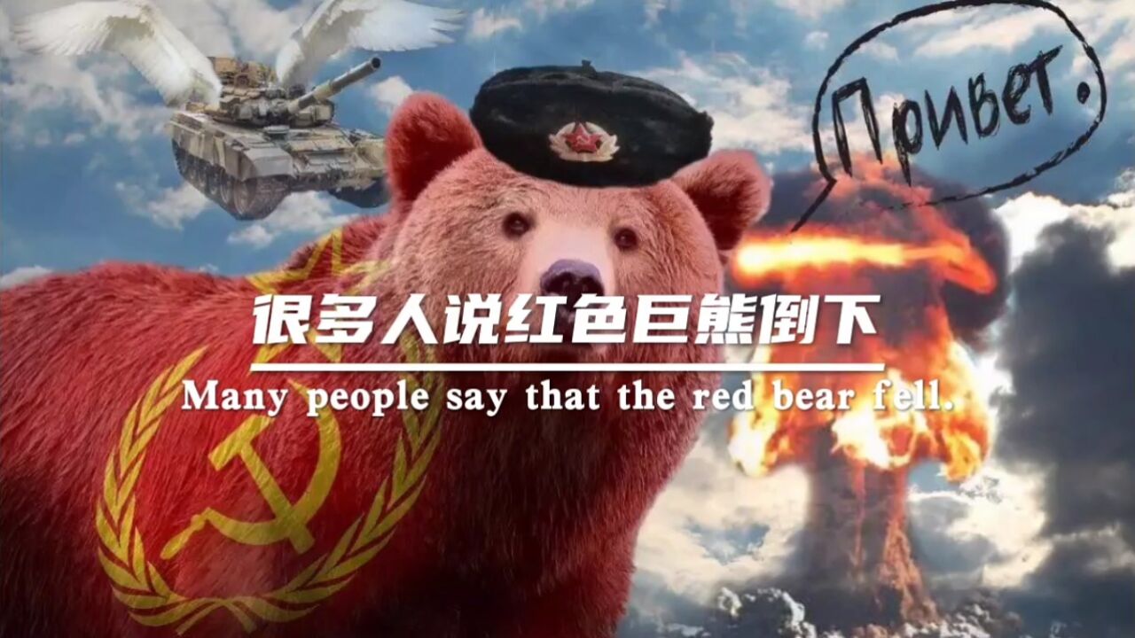 苏联巨熊头像图片