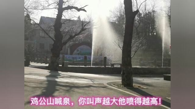 信阳鸡公山喊泉,你的叫声越大他喷得越高!信阳一旅游景区提升改造.#原创 #信阳 #鸡公山 #避暑 #景点打卡