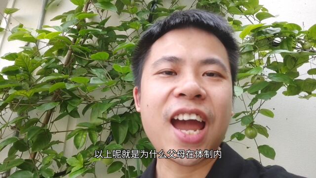 为什么家长在体制内,孩子更容易进入编制.掌握这5个方法你也行