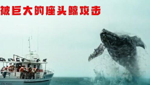 庞大的座头鲸，袭击无知的游客