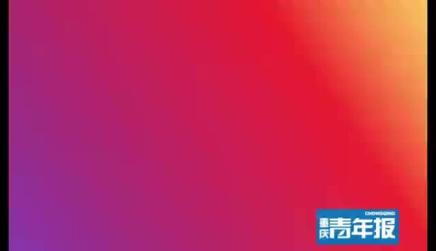 700字,政府工作报告极简版来了!