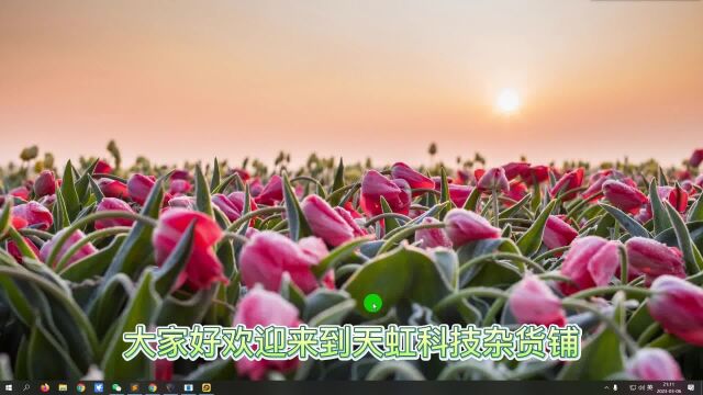 第1036期:安卓端图师傅高级纯净版,图片工具一应俱全.