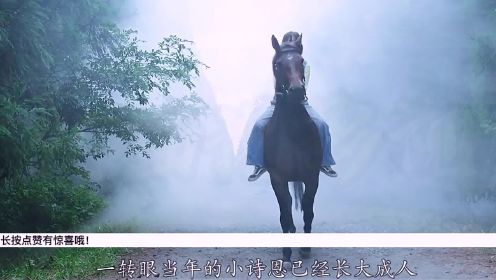 一个女孩和一匹的马的故事《方糖》一部感人催泪电影