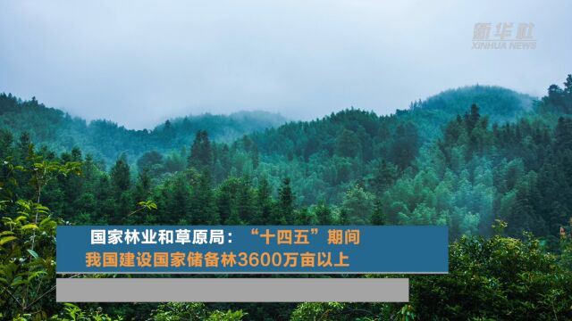 国家林业和草原局:“十四五”期间我国建设国家储备林3600万亩以上