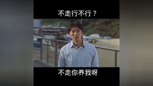 金典影视剧片段