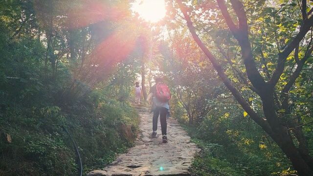 国庆假期登高望远好去处,百望山一日游.