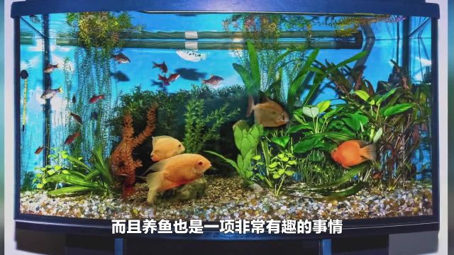 鱼缸摆在客厅什么位置最佳 家庭鱼缸最旺财客厅位置