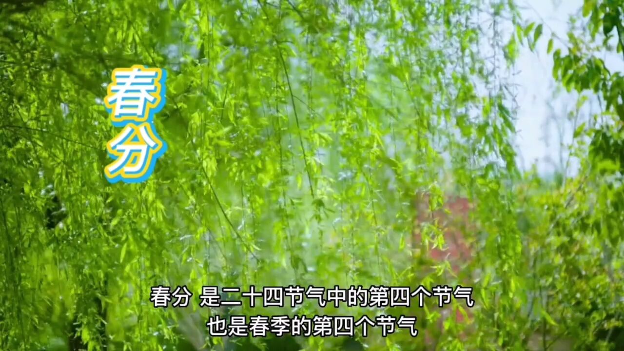 2023年3月21日是二十四节气之春分,春分的由来和习俗_高清1080P在线观看平台_腾讯视频