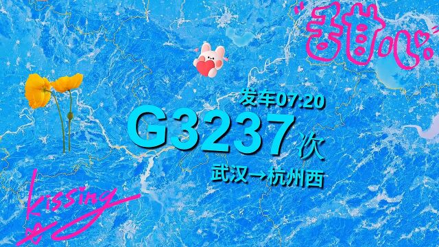 模拟G3237次列车,武汉至杭州西,全程约750公里,历时5小时34分