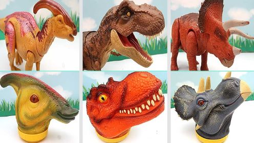 六种大箱恐龙玩具
