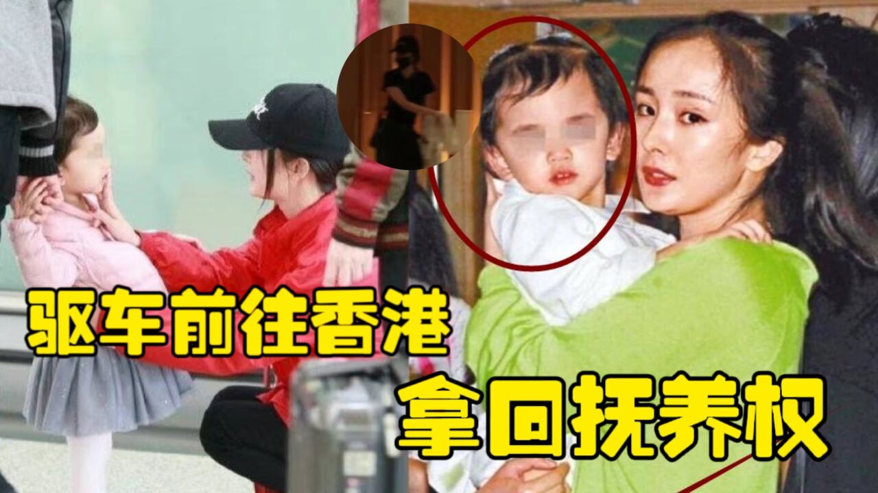 杨幂和父母驱车去香港,给小糯米带一车玩具,支持拿回抚养权!