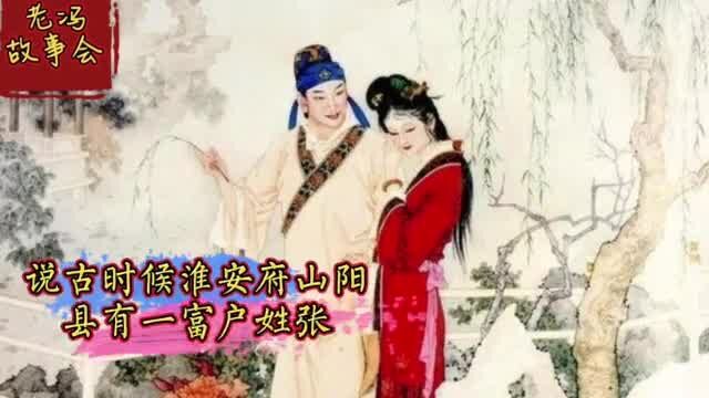 《民间故事》富家小姐不嫁少爷嫁书童,成婚后揭开公婆秘密.