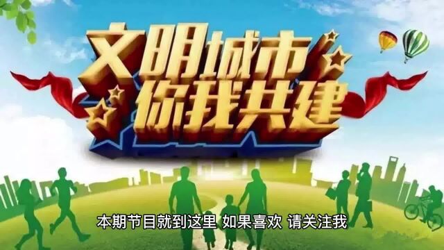 阿牛观点:文明城市:不仅仅是形式,更是文明素养的提升