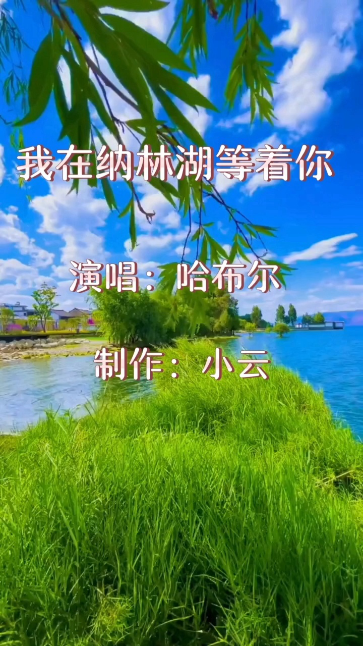 《我在纳林湖等着你》,竖版制作