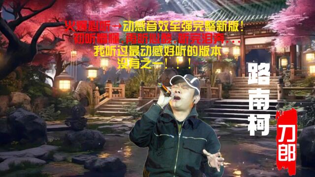 路南柯动感音效至强版