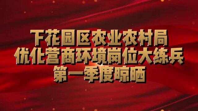 下花园区农业农村局优化营商环境岗位大练兵第一季度晾晒