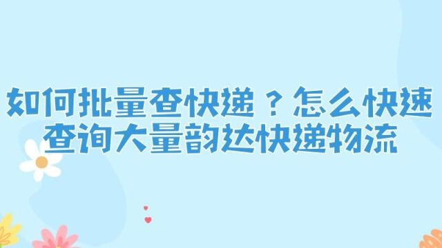 怎么在电脑上批量查询多个快递单号的物流信息?