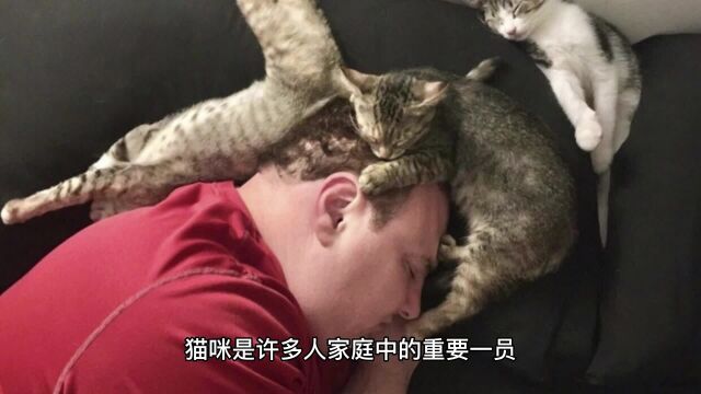 猫咪的性格和生活习性会随主人改变吗?