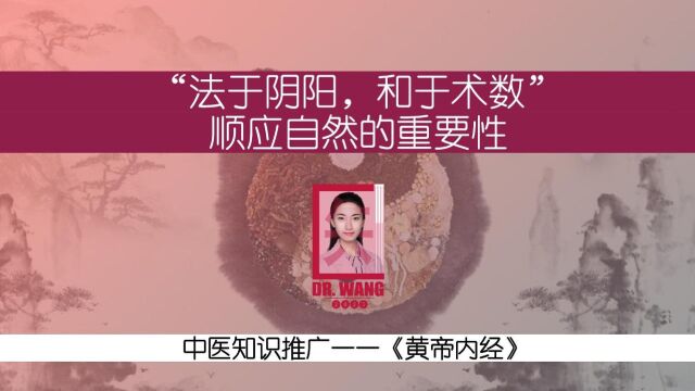 法于阴阳,和于术数—顺应自然的重要性