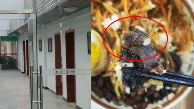 华北理工大学食堂被曝吃出鼠头,涉事餐饮公司自称团餐百强企业