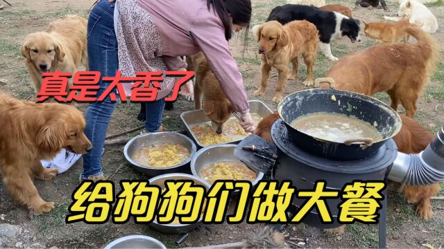 蔬菜乱炖绿豆汤,给曾将流浪的狗狗们做顿去火大餐,香到口水直流