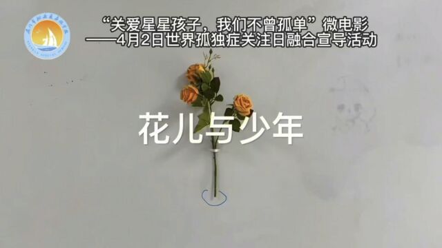 花儿与少年微电影