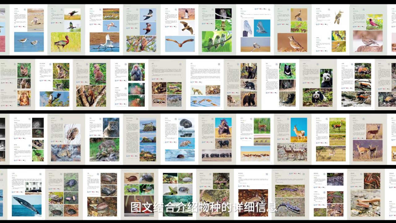 《国家重点保护野生动物图鉴》-中国首部收齐最新版国家重点保护野生动物的图文出版物_高清