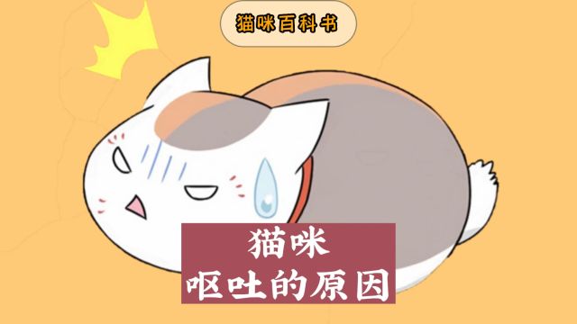 猫咪呕吐,主要有这5种原因