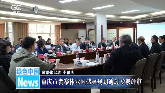 重庆市蛮寨林业国储林规划通过专家评审