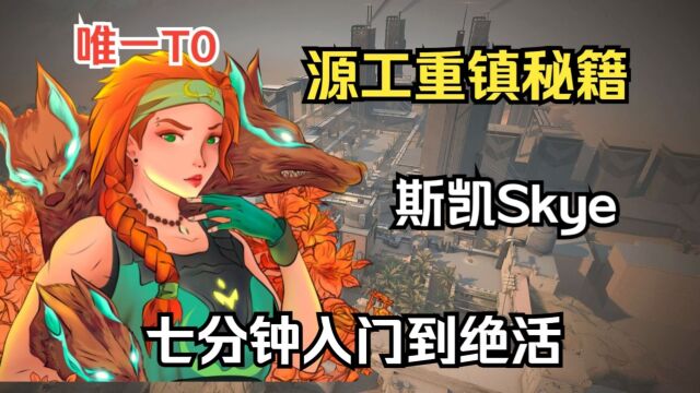 【源工重镇斯凯Skye】七分钟包你入门到绝活的保姆级教学(新手必看,公式化攻防)