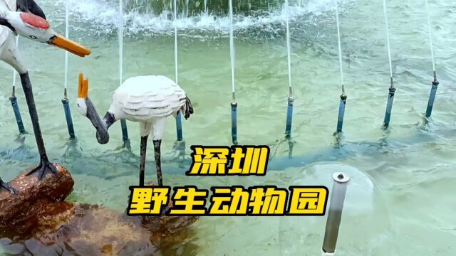 深圳野生动物园