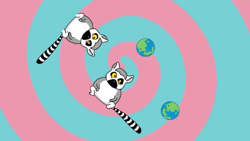 毛茸茸 的星球 第48集环尾狐猴_高清1080p在线观看平台_腾讯视频