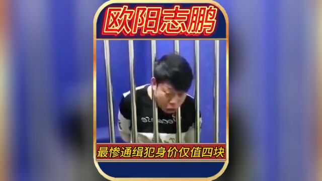 离谱通缉犯身价仅值四块钱#欧阳志鹏