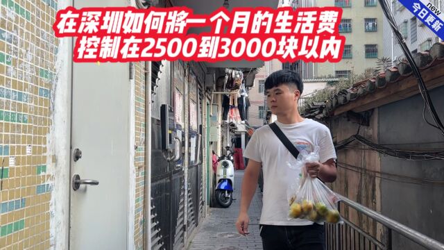 在深圳如何将一个月的生活费,控制在2500到3000块以内