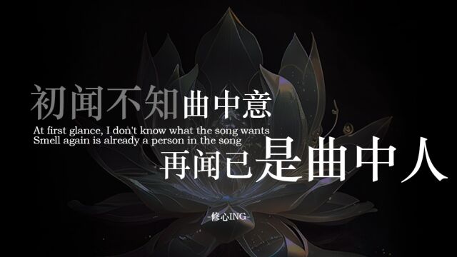 初闻不知曲中意,再闻已是曲中人.