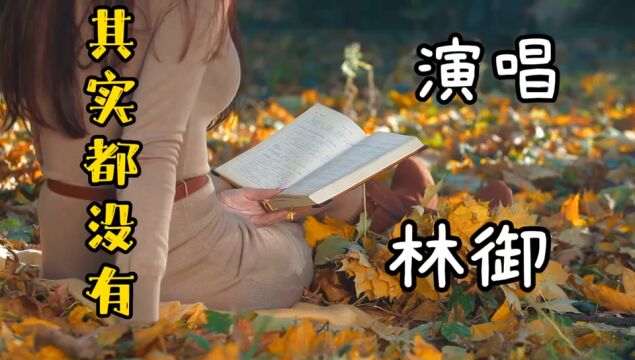 林御翻唱歌曲《其实都没有》现实的歌词,处处透露着心酸无奈