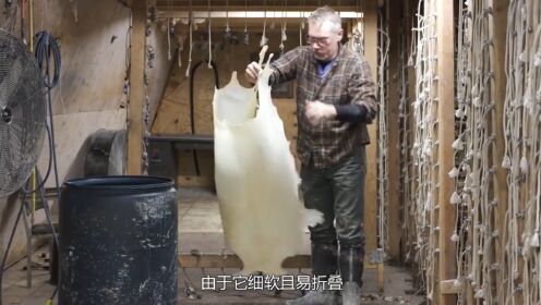 羊皮是如何做成羊皮纸的?过程长久又繁琐,一起见识下吧_高清1080P在线观看平台_腾讯视频