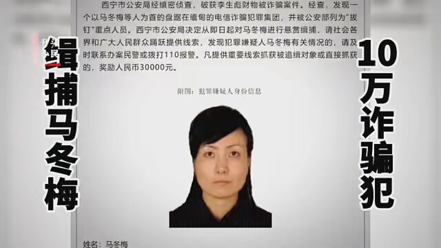 悬赏缉捕马冬梅,10万缅北诈骗犯为啥无法无天