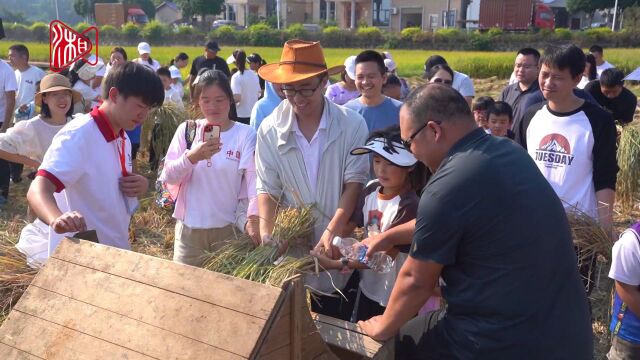 找寻乡野乐趣,在永安来一场秋日农耕体验