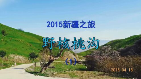 2015新疆之旅 野核桃沟（1） #导游带你游中国 #趁年轻去探险