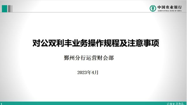 对公双利丰业务操作规程及注意事项