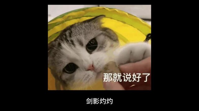 就是让你摸一下009