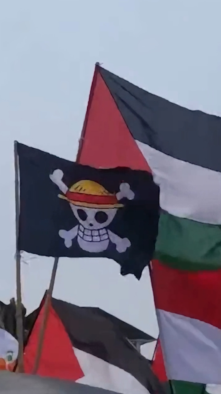 草帽海贼团旗帜壁纸图片